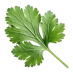 Imagen PNG para descargar